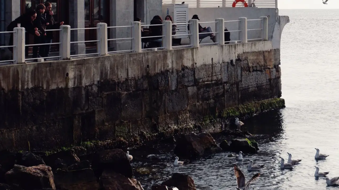 Kadıköy’de Moda İskelesi ve martılar